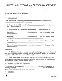 LLC Operating Agreement for Single and Multi-Member Governance form preview