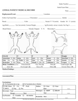 Comprehensive Health Assessment and Tracking Record form preview