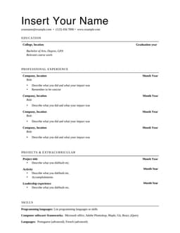 Basic professional resume form preview
