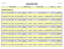 Idaho State RCPT - Comprehensive Cash Receipt Tracking System form preview