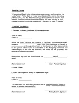 Texas Notary Acknowledgment for Child Travel Consent form preview