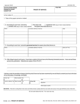 Michigan PC 564 Affidavit - Proof of Legal Document Service form preview