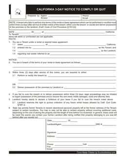 California 3-Day Tenant Violation Notice - Cure or Quit form preview