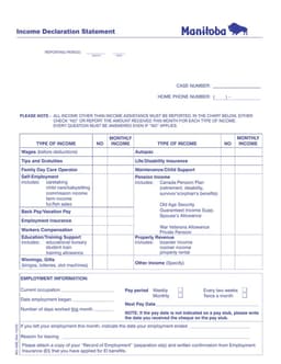 Manitoba Income Declaration Statement Summary form preview