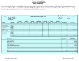 Illinois Wage Payment Notice Sample - Comprehensive Salary Record form preview