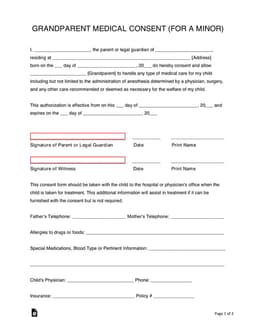 Grandparent Child Medical Consent Authorization form preview