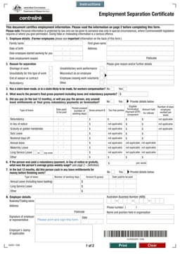 Employment Separation Certificate – Job Termination Documentation form preview