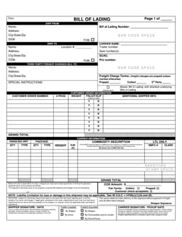Bill of Lading form preview