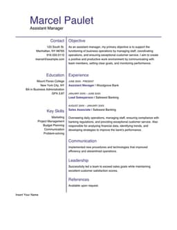 Basic management resume form preview