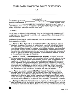 South Carolina General Power of Attorney Details and Appointee Rights form preview